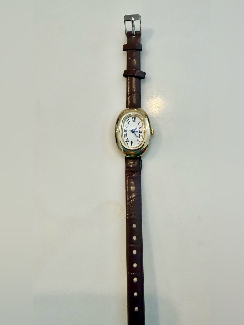 Women's classic Gold-tone Oval  and Brown Watch